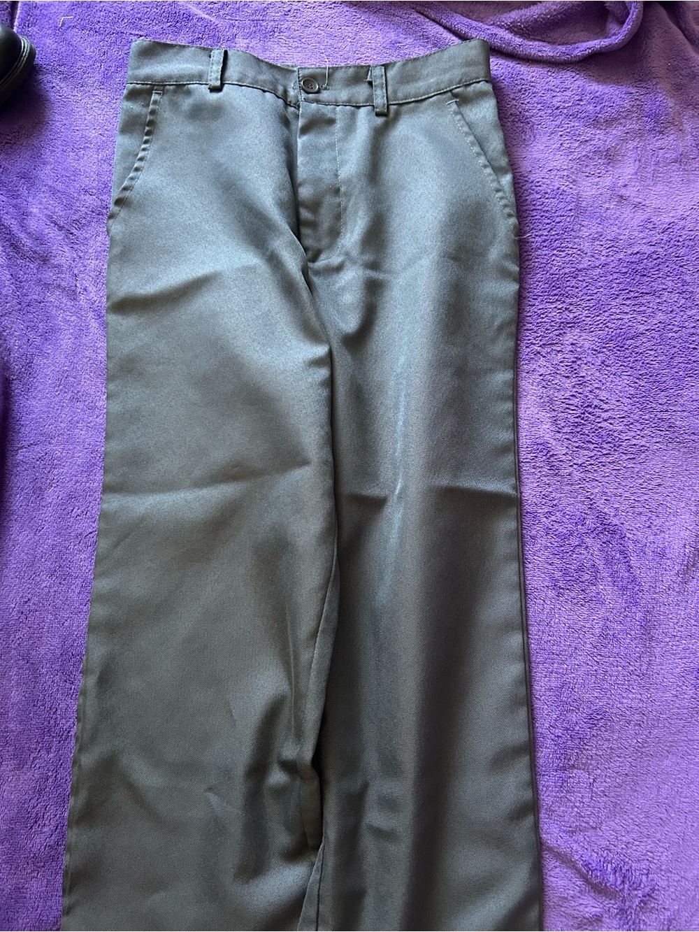 Straight Fit Dress Pants